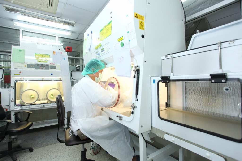 Pharmedio szpital produkcja loża laboratorium cytostatyki Farmaceuta pracownia