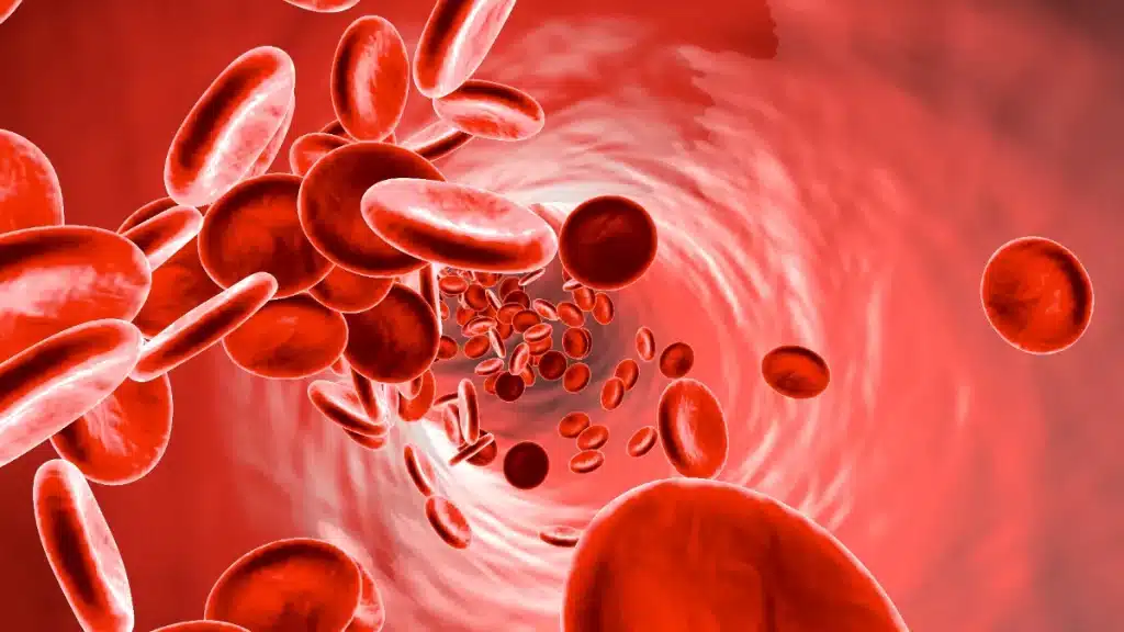 Pharmedio Krwinki czerwone Erytrocyty