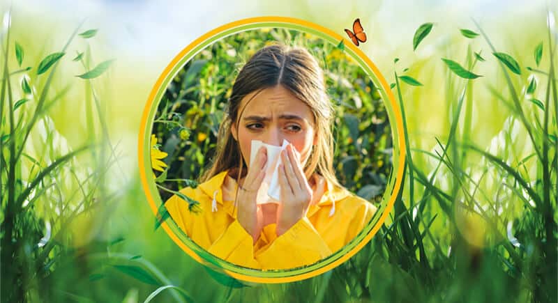 box otriallergy control